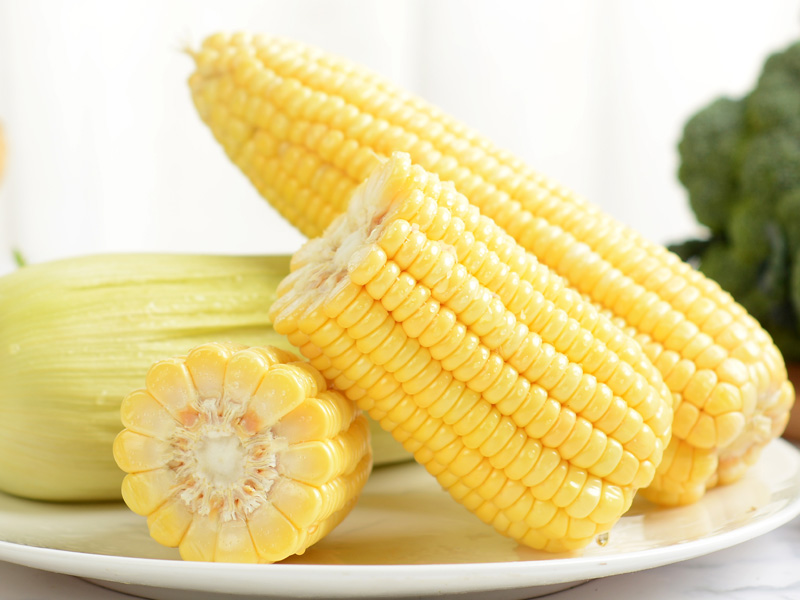 玉米遗传转化服务